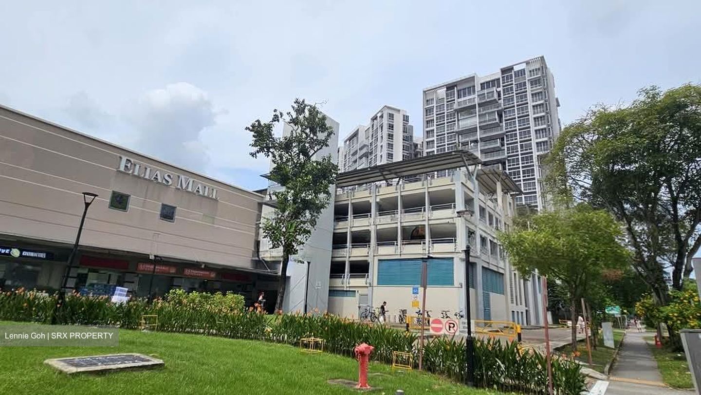 Oasis @ Elias (D18), Condominium #572065981